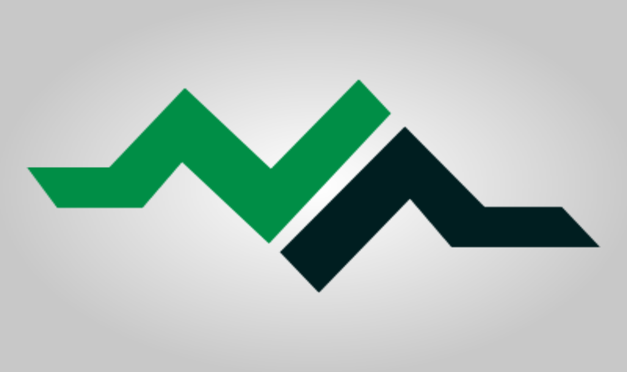 ALFETUR TRANSPORTES E TURISMO